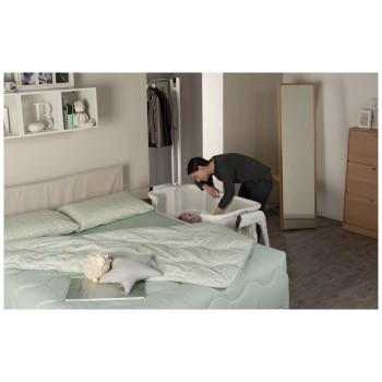 Zibelka in posteljica ICRIB