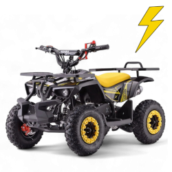 Električni štirikolesniki