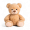 Pliš