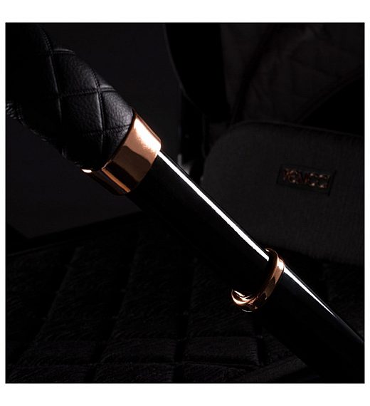 Dječja kolica Tinum SE 2 in 1 Stylish Black