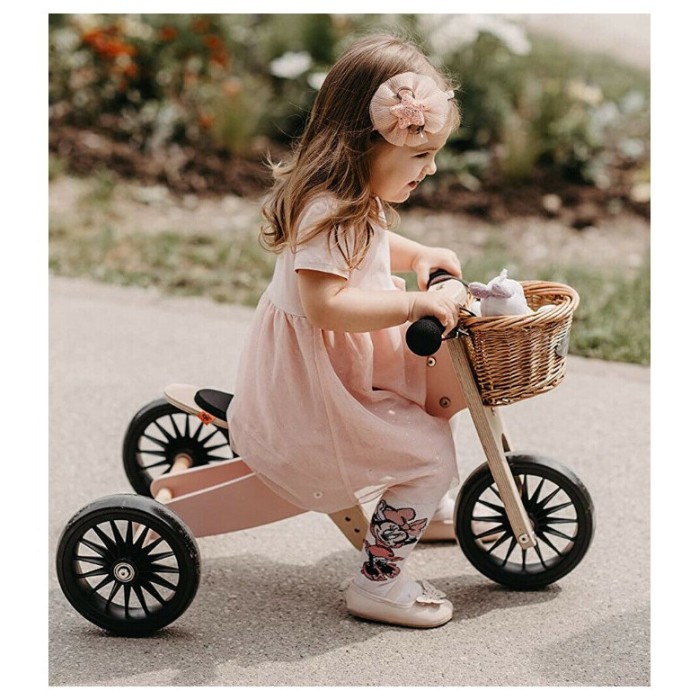 Lesen poganjalec TINY TOT PLUS 2v1 Slate Blue