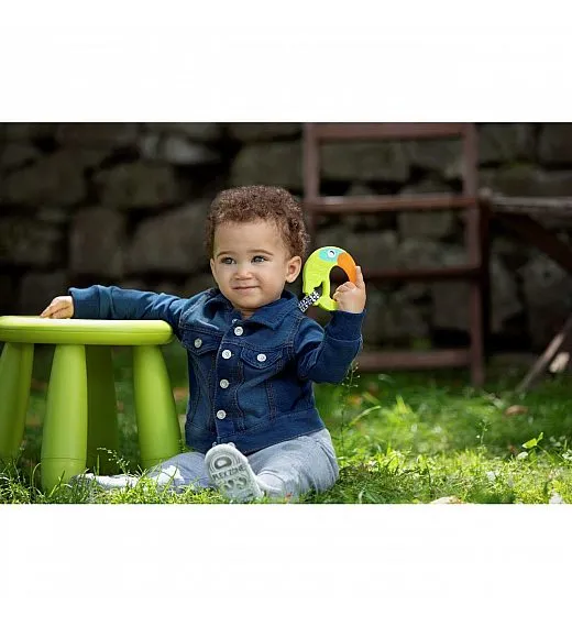 Chicco glodalica tukan 6m+ Chicco
