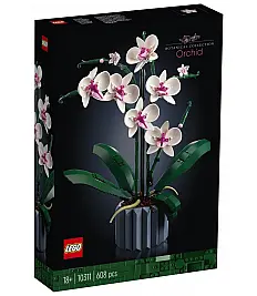 Orhideja 10311