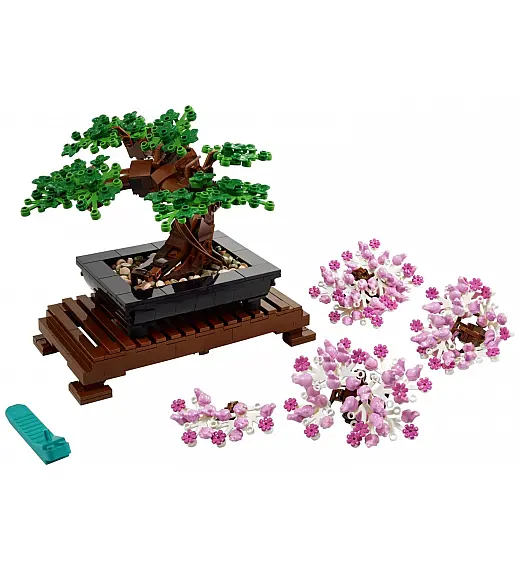 Bonsai drvo 10281 - Creator