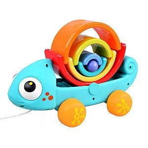 Hola Kameleon 795700