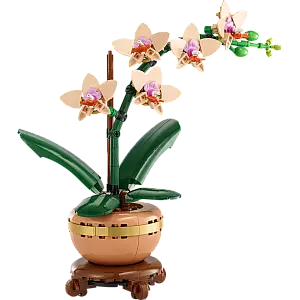 Kocke Botanicals Mini orhideja 10343