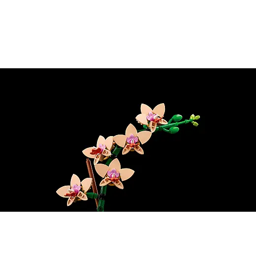 Kocke Botanicals Mini orhideja 10343 Lego
