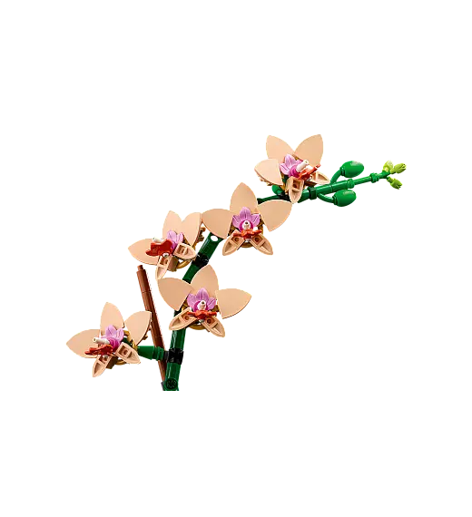 Kocke Botanicals Mini orhideja 10343 Lego