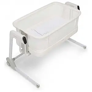 Zibelka in posteljica ICRIB