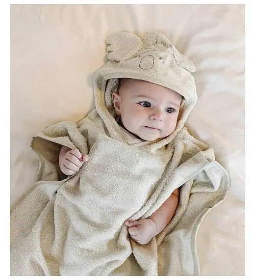 Kopalni Pončo KOALA