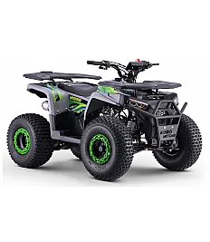 125cc benzinski quad WARRIOR, do 60 km/h, zeleni