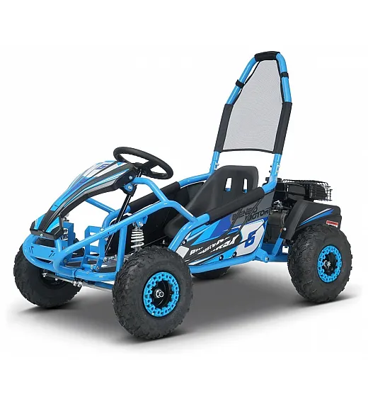 Otroški bencinski gokart Buggy RSX 98 cm³, 30 km/h, disk zavore, nizko zežišče, varnostni lok Otroški bencinski gokart Buggy RSX 98 cm³, 30 km/h, moder