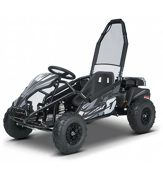 Otroški bencinski gokart Buggy RSX 98 cm³, 30 km/h, črn