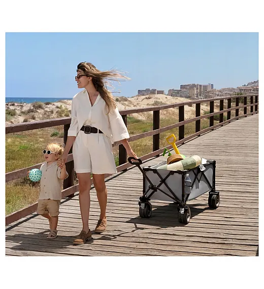 Transportni voziček ROLLSTER Antracite FreeON