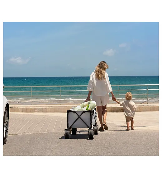 Transportni voziček ROLLSTER Black Kinderkraft