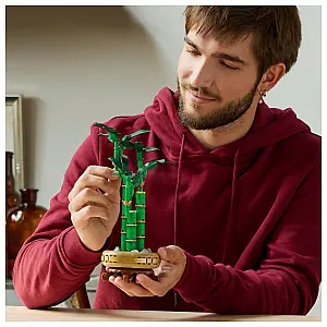 LEGO® Botanicals 10344 Bambus za srečo