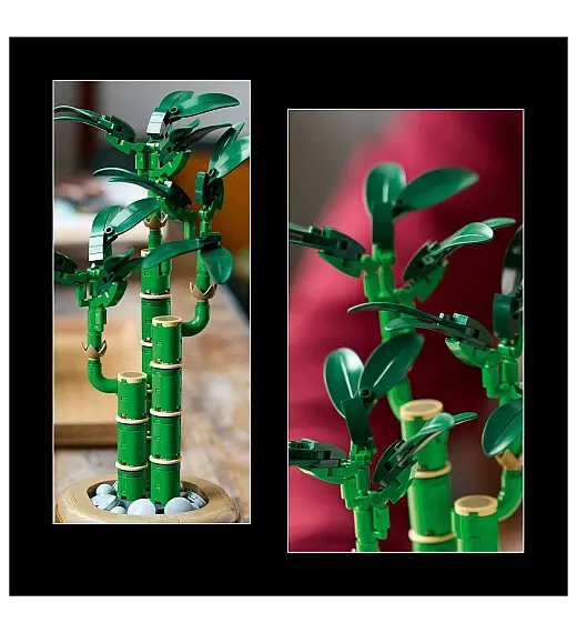 LEGO® Botanicals 10344 Bambus za srečo Lego