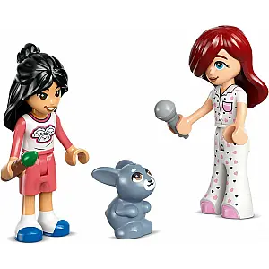 Lego® Friends 42647 Paisleyjina soba