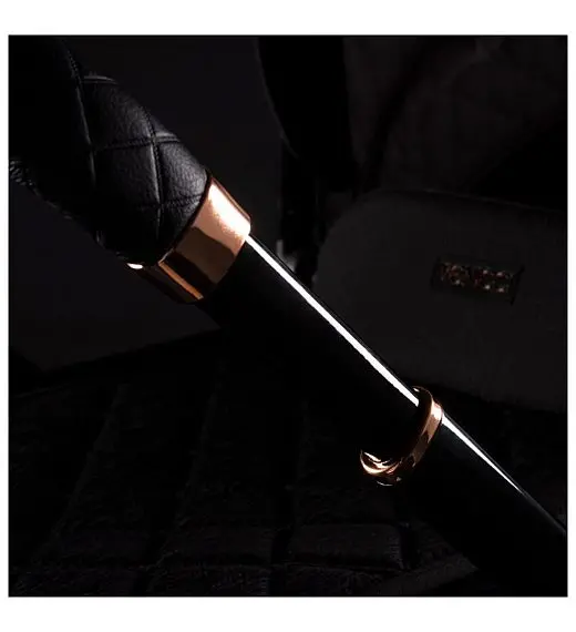 Dječja kolica Tinum SE 2 in 1 Stylish Black