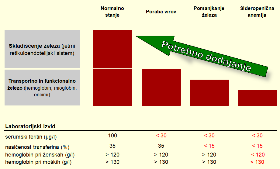 Kdaj nam primanjkuje železa Kdaj nam primanjkuje železa