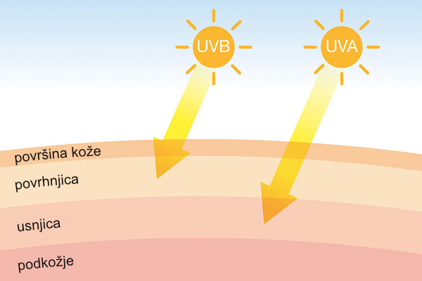 UVA in UVB na koži UVA in UVB na koži