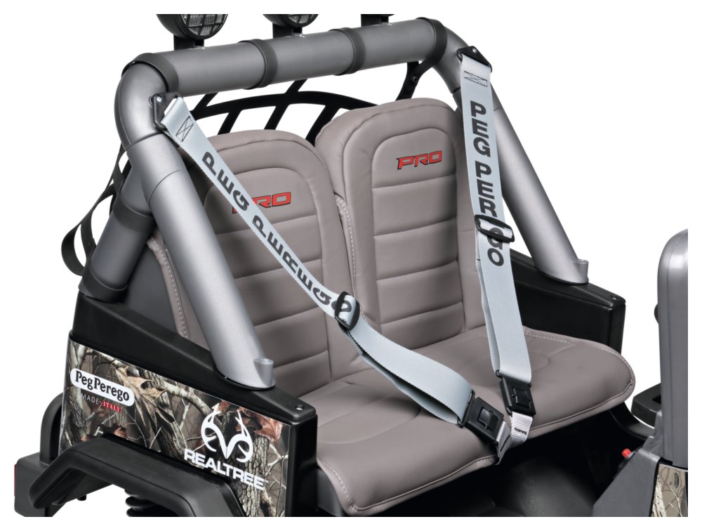 Usnjeni sedeži, varnostni pas