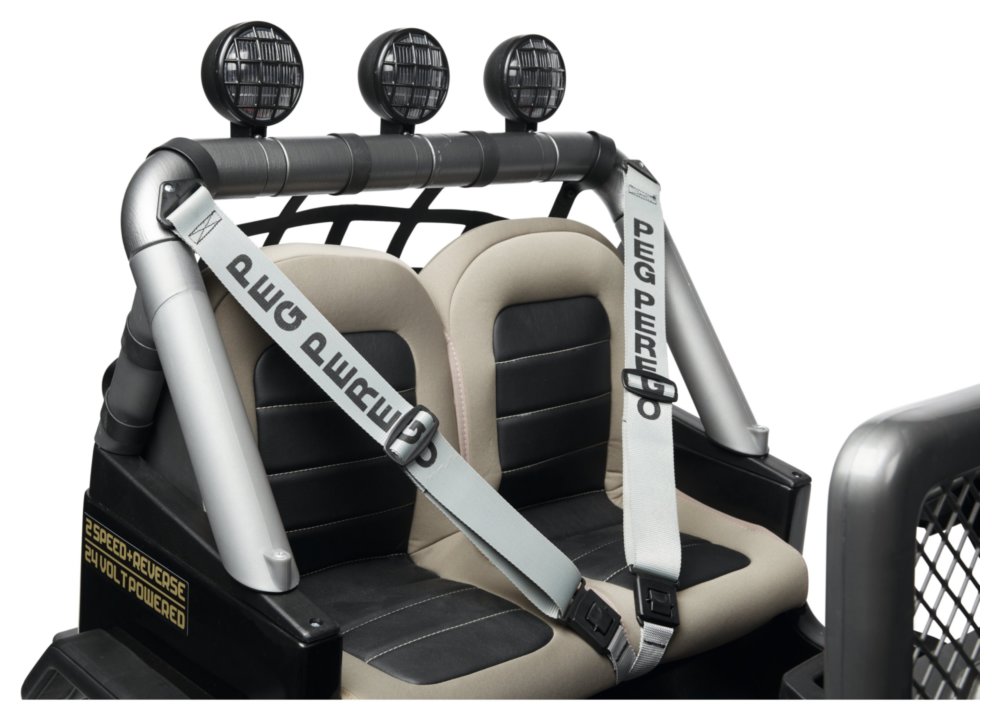 Usnjeni sedeži, varnostni pasovi