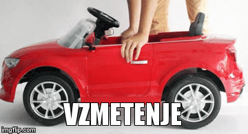 Vzmetenje